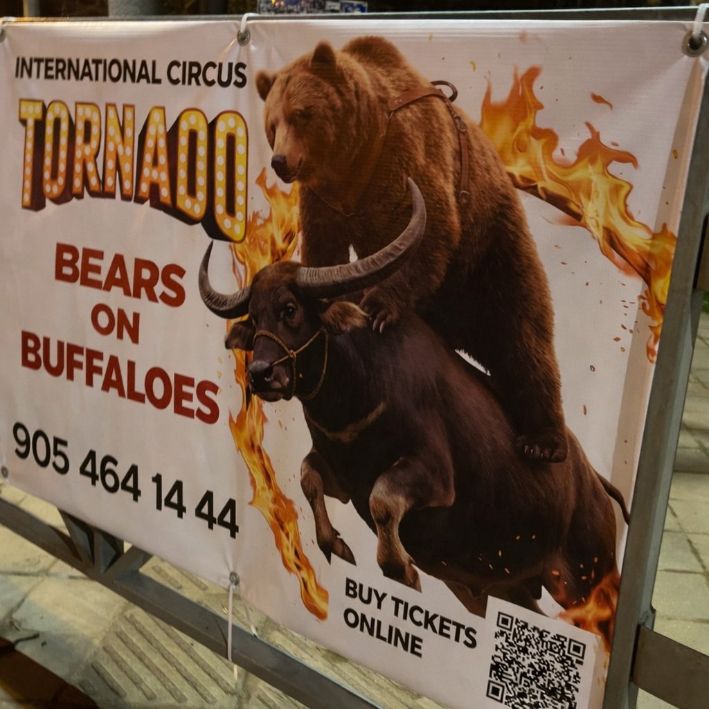 Serge.Po tweet media