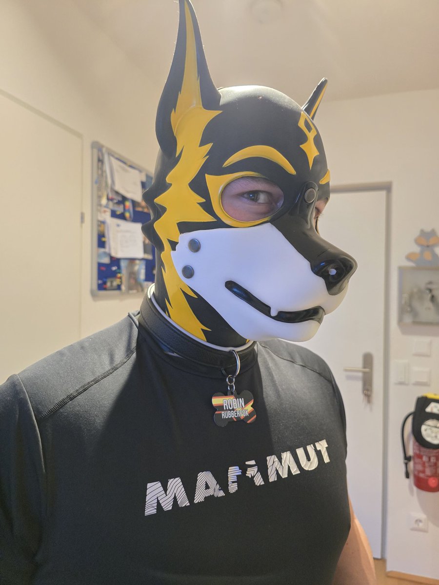 Robin_P_Renard tweet media