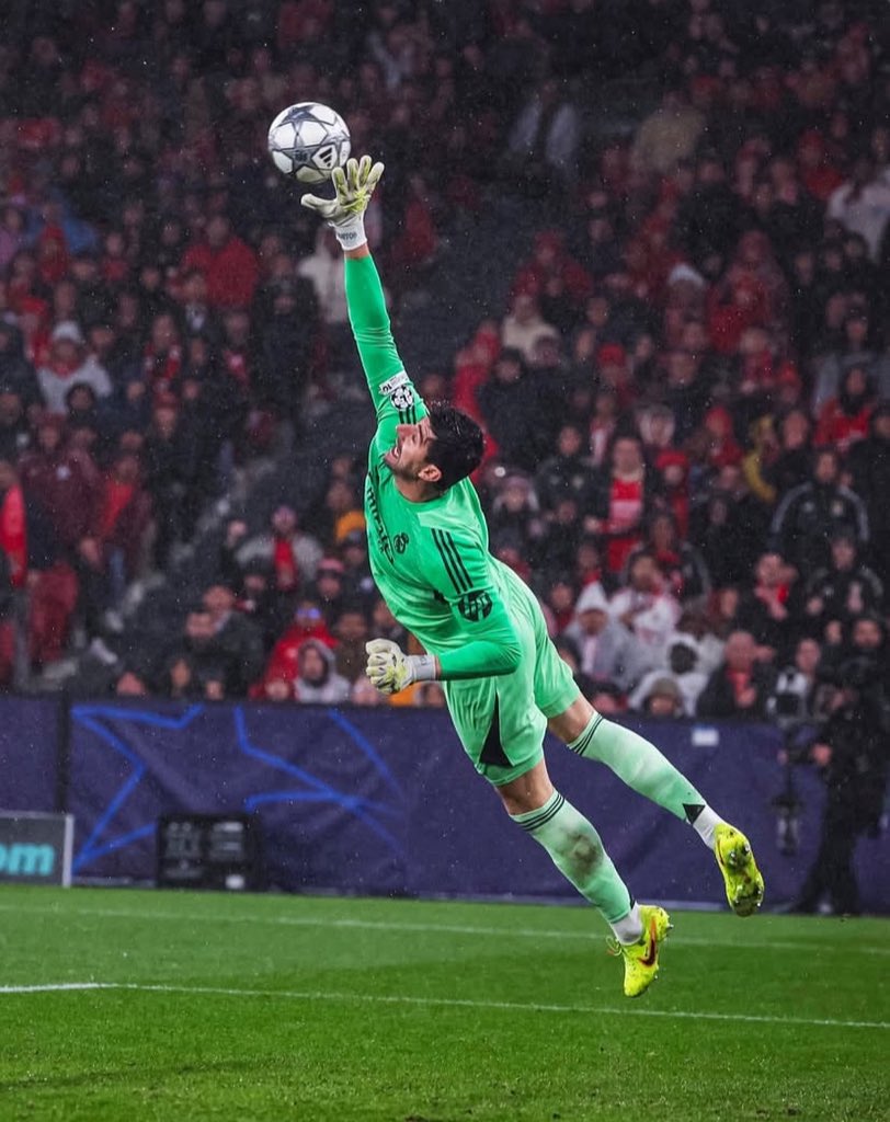 MIKE 🗽 tweet media