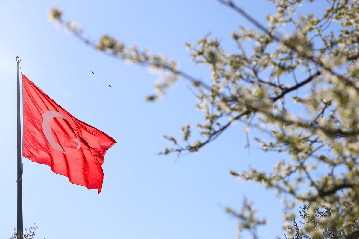 İstanbul Arel Üniversitesi tweet media