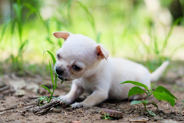 Jennifer Anderson tweet media