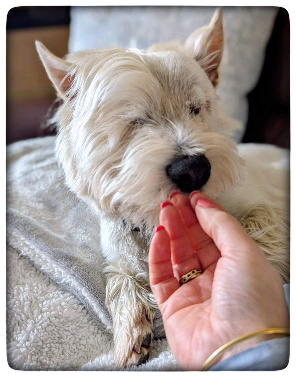 suzanne masters tweet media