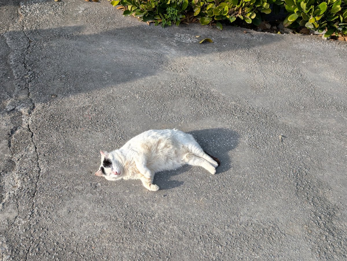totomint's tweet photo. 沖縄旅行の思い出😻 https://t.co/0FcvWlIlom