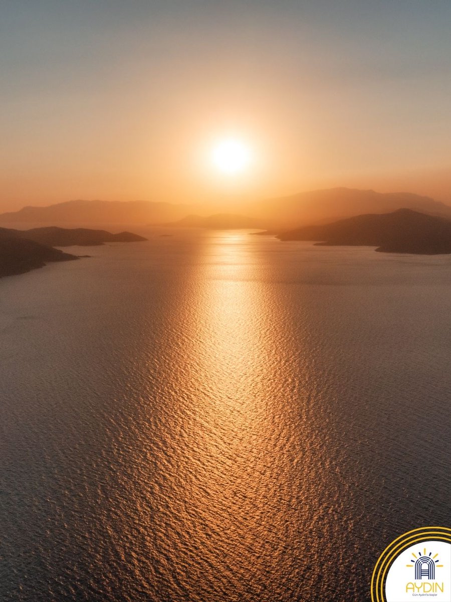 Visit Aydın tweet media