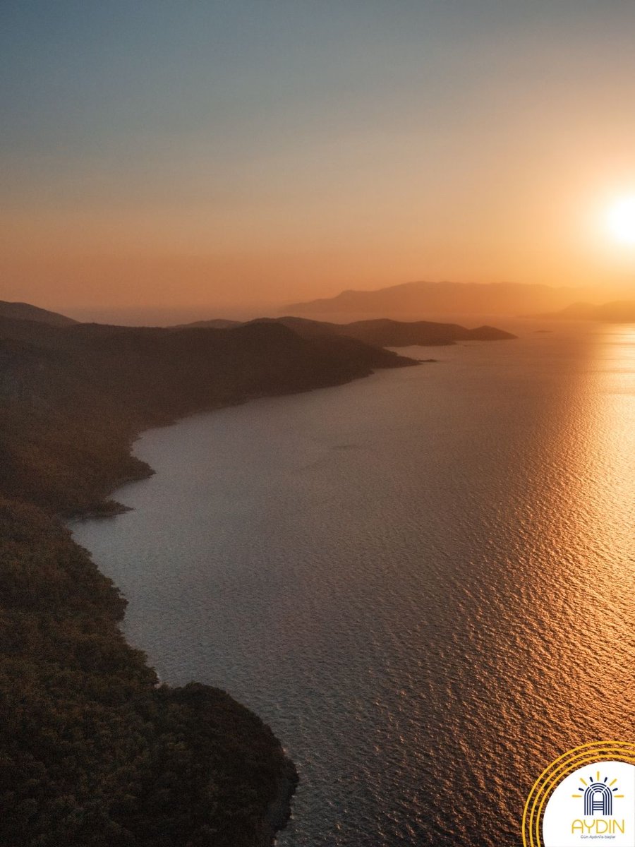 Visit Aydın tweet media