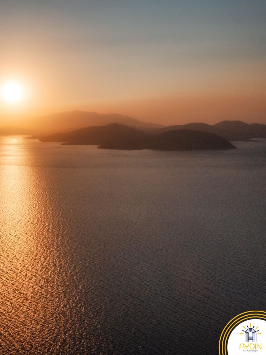 Visit Aydın tweet media