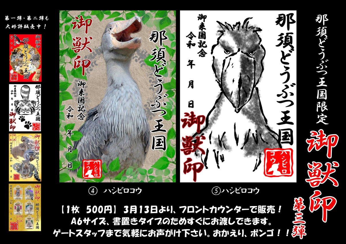 nakprstaff's tweet photo. 明日はついにハシビロコウ「ボンゴ」公開予定となります。
13日限定のイベントもございます。神戸どうぶつ王国からなんと��ハシビロ王」も式典に登場😊
※「ウェットランド」内は混雑緩和の為止まらずお進みください。
詳細は公式HPをご覧ください。
https://t.co/rKURHZaZTA https://t.co/BDb00KCwpj