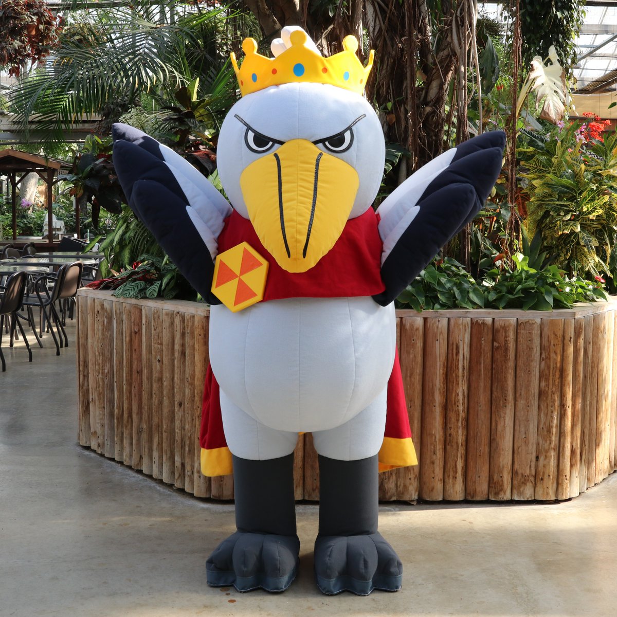 nakprstaff's tweet photo. 明日はついにハシビロコウ「ボンゴ」公開予定となります。
13日限定のイベントもございます。神戸どうぶつ王国からなんと��ハシビロ王」も式典に登場😊
※「ウェットランド」内は混雑緩和の為止まらずお進みください。
詳細は公式HPをご覧ください。
https://t.co/rKURHZaZTA https://t.co/BDb00KCwpj