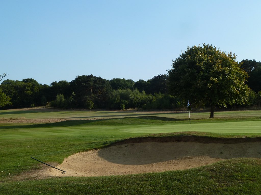 Ifield Golf Club tweet media