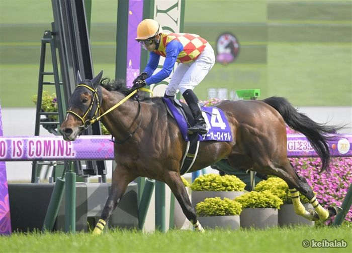 keibalab's tweet photo. 【ありがとうテーオーロイヤル】
テーオーロイヤル
T O Royal
(牡8、栗東・岡田稲男厩舎)
父リオンディーズ
母メイショウオウヒ
母父マンハッタンカフェ
半兄メイショウハリオ(G1級・4勝)
#テーオーロイヤル #引退 #種牡馬入り
https://t.co/Bwn4ysRwEq https://t.co/2WHuJQ6EmP