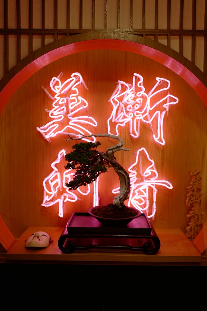 bizen_bizenart's tweet image. Bizen art tattoo studio
毎週の盆栽
#tradmans #bonsai