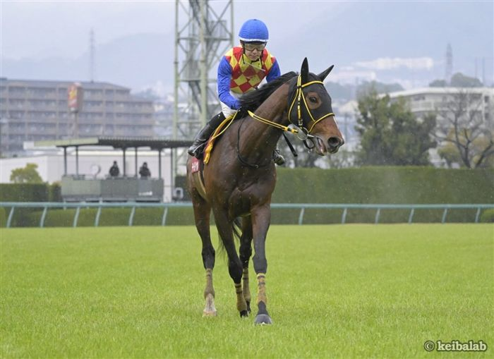 keibalab's tweet photo. 【ありがとうテーオーロイヤル】
テーオーロイヤル
T O Royal
(牡8、栗東・岡田稲男厩舎)
父リオンディーズ
母メイショウオウヒ
母父マンハッタンカフェ
半兄メイショウハリオ(G1級・4勝)
#テーオーロイヤル #引退 #種牡馬入り
https://t.co/Bwn4ysRwEq https://t.co/2WHuJQ6EmP
