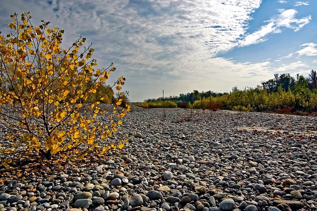 Shawn Ewing tweet media