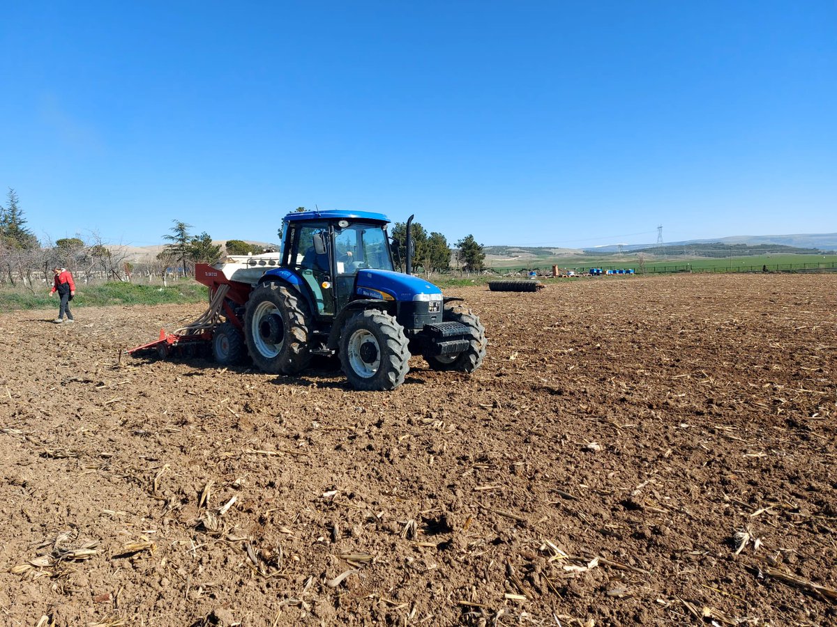 Mehmet Salih CANBAL tweet media