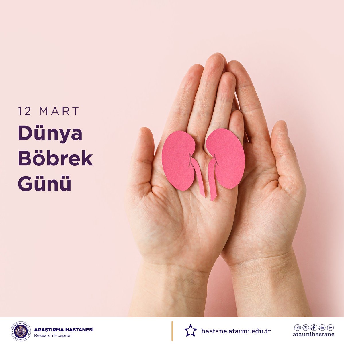 Dünya Böbrek Günü, böbrek sağlığının korunması ve kronik böbrek hastalıklarına karşı farkındalığın artırılması açısından önemli bir gündür. Erken tanı ve düzenli kontroller, böbrek sağlığının korunmasında önemli rol oynar.

<a href="/atauni1957/">Atatürk Üniversitesi</a>

#DünyaBöbrekGünü #BöbrekSağlığı #ErkenTanı