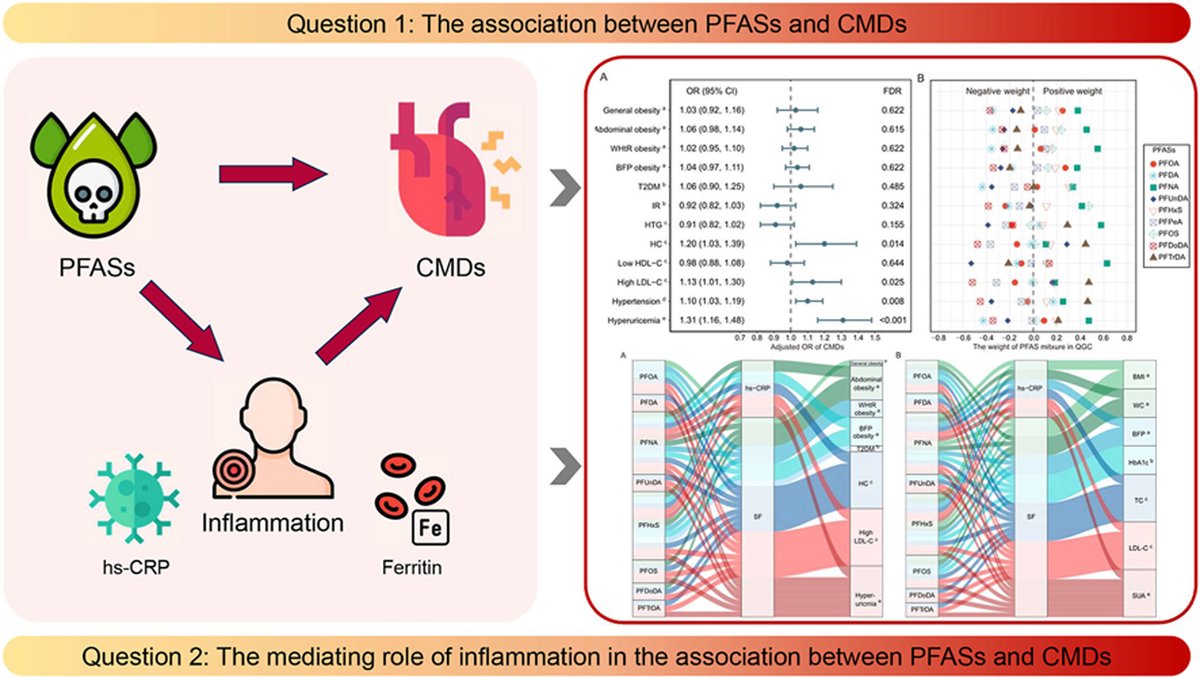 environment_eco's tweet photo. New in EEH:
Serum PFASs were associated with increased risks of multiple cardiometabolic diseases, with PFHxS affecting all 5 CMD categories. Inflammatory markers, especially serum ferritin, may play an important mediating role.
https://t.co/tFKLw79aC5
#PFAS #PublicHealth #EEH https://t.co/NaPqXV1745