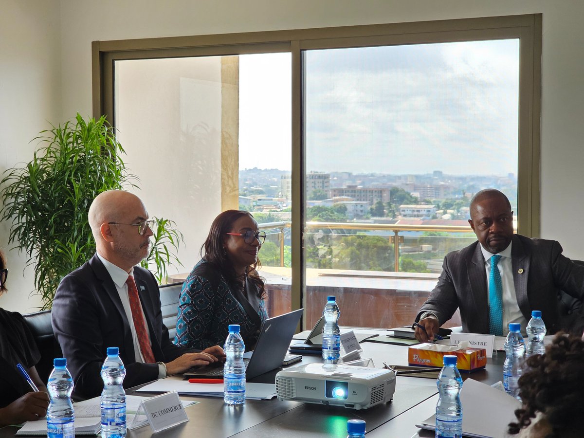 PNUD GABON tweet media