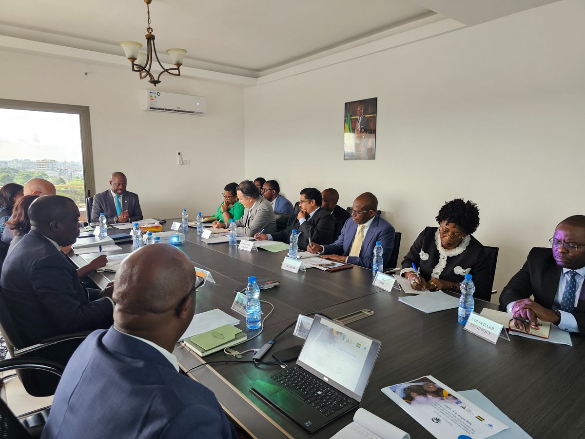 PNUD GABON tweet media