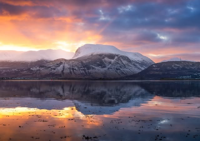 DavyTolmie tweet media