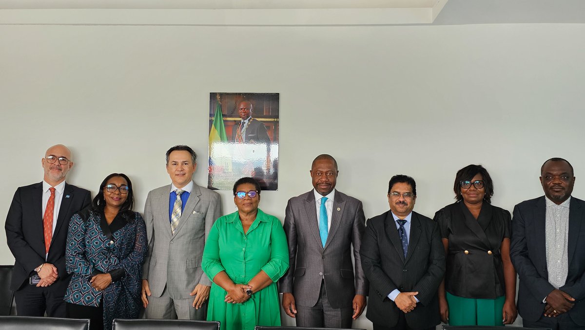 PNUD GABON tweet media