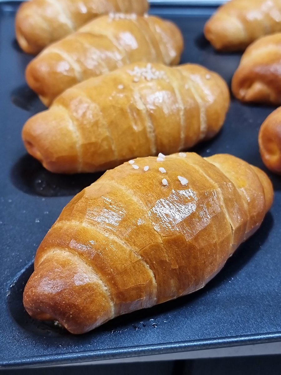 ⭐️ 홍익인간 경프로 ⭐️ tweet media