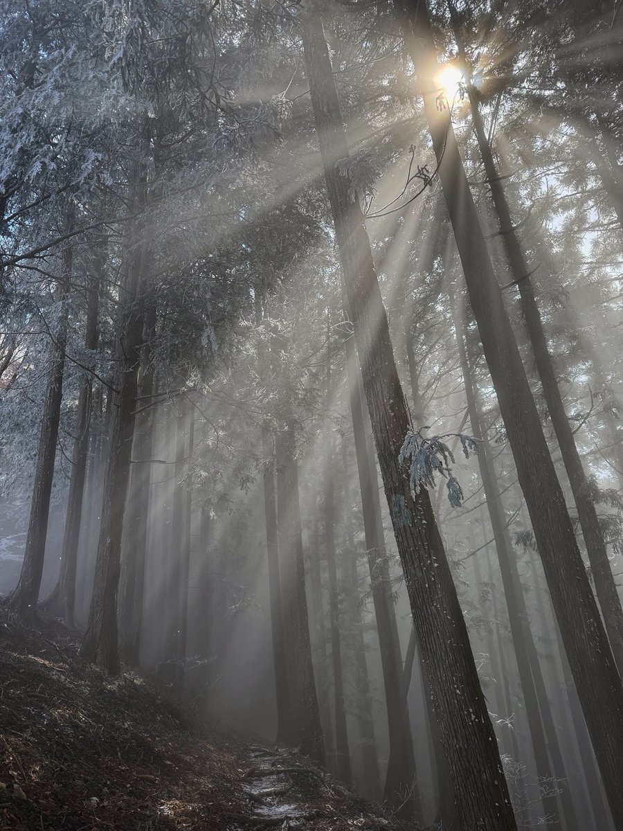 舟平/SAM tweet media