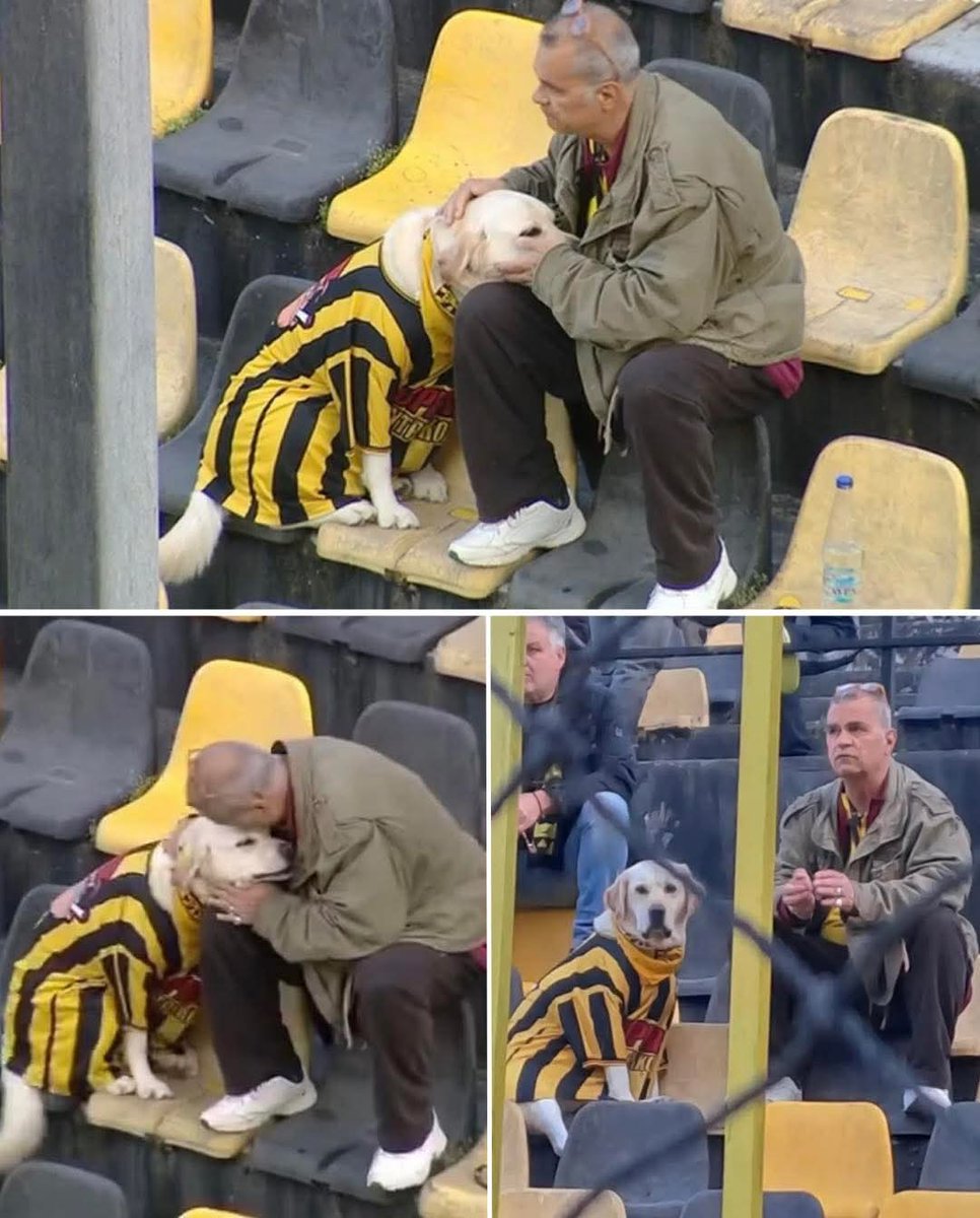 Meet Aris, the dog with a season ticket at Greek Super League club Aris Thessaloniki. A true fan, living the dream! 🇬🇷🐶