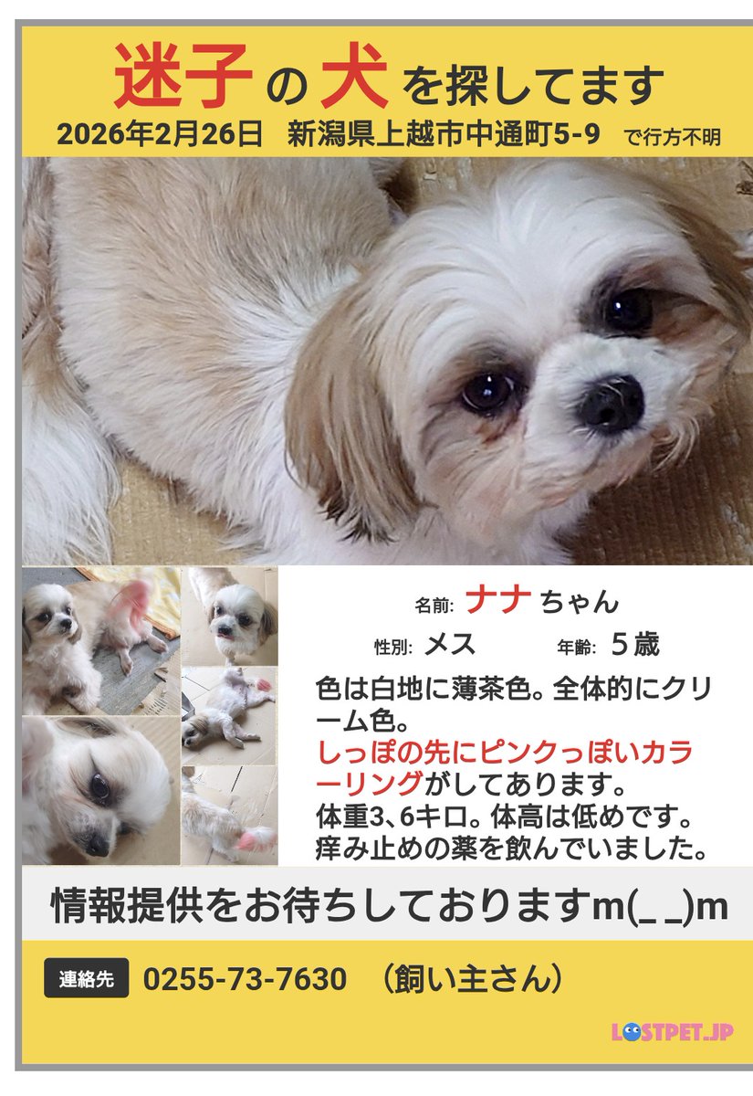 ちゃっぴぃ tweet media