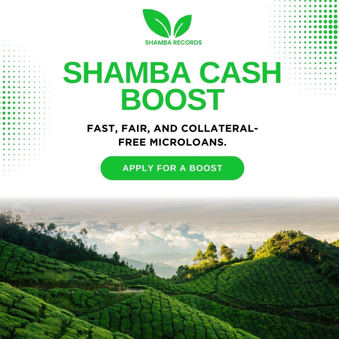 Shamba Records tweet media