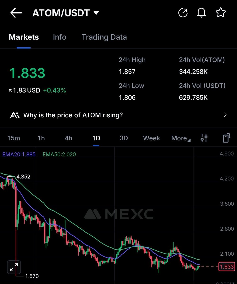 Crypto Hare tweet media