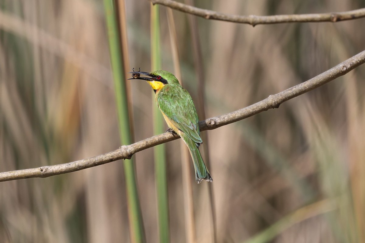 Steve Hubbard tweet media