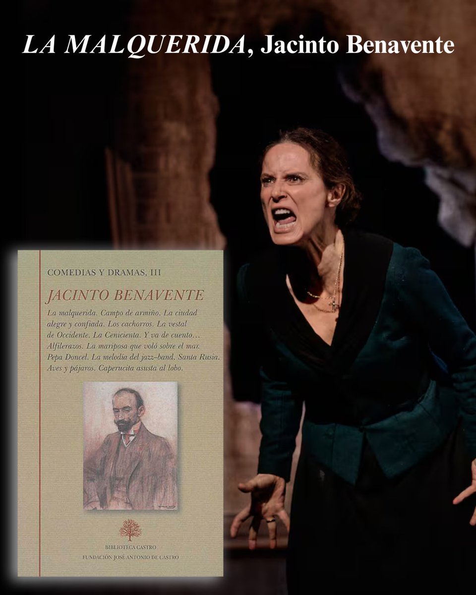 Biblioteca Castro tweet media