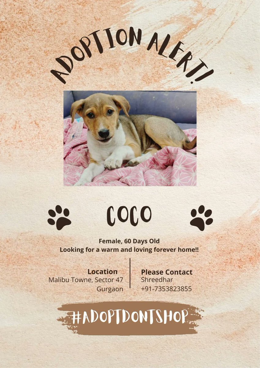 Abhishek Joshi 👨💻🐶 tweet media