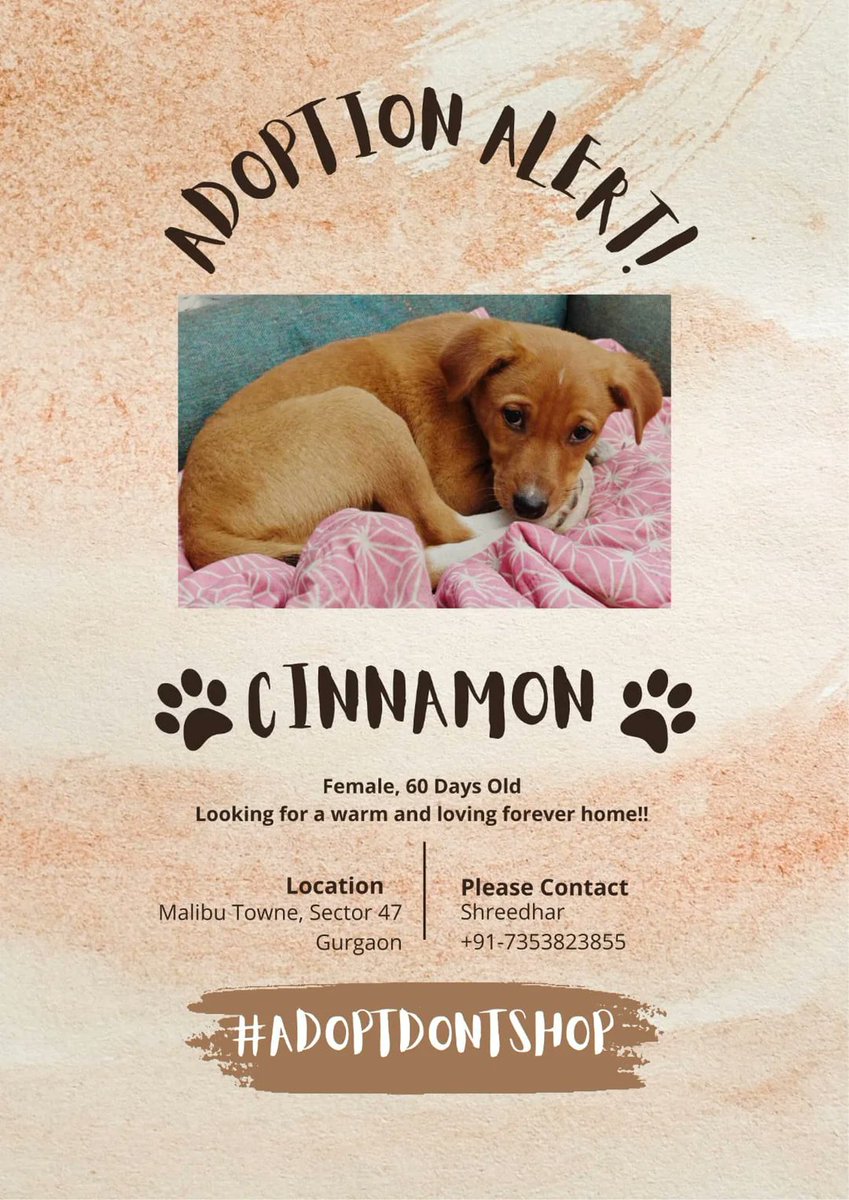 Abhishek Joshi 👨💻🐶 tweet media