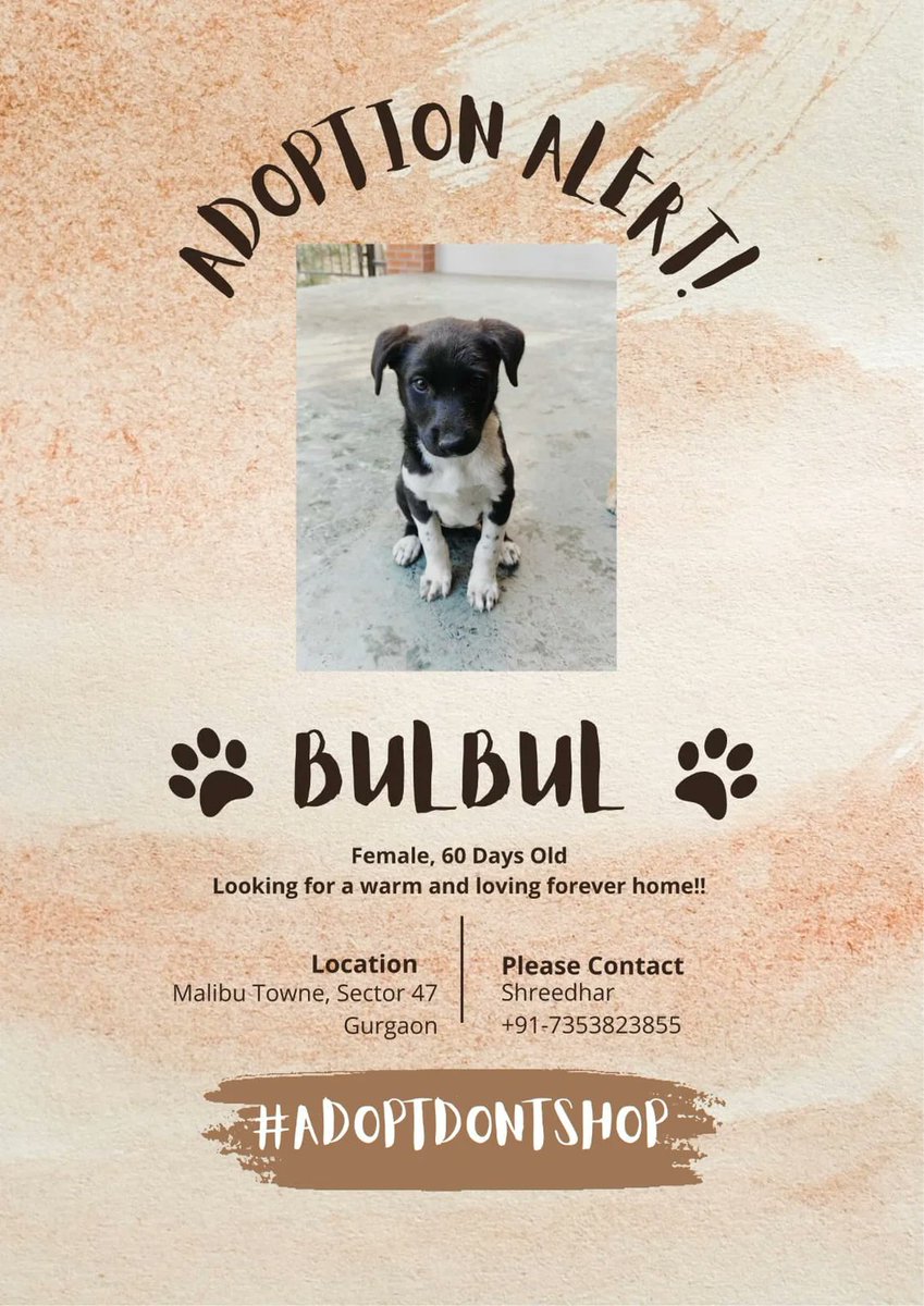 Abhishek Joshi 👨💻🐶 tweet media