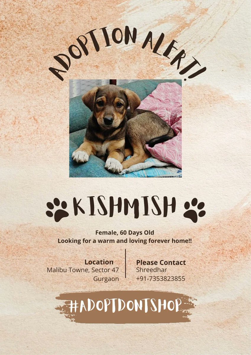 Abhishek Joshi 👨💻🐶 tweet media