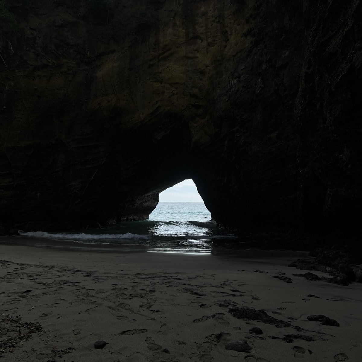 すなぎも tweet media