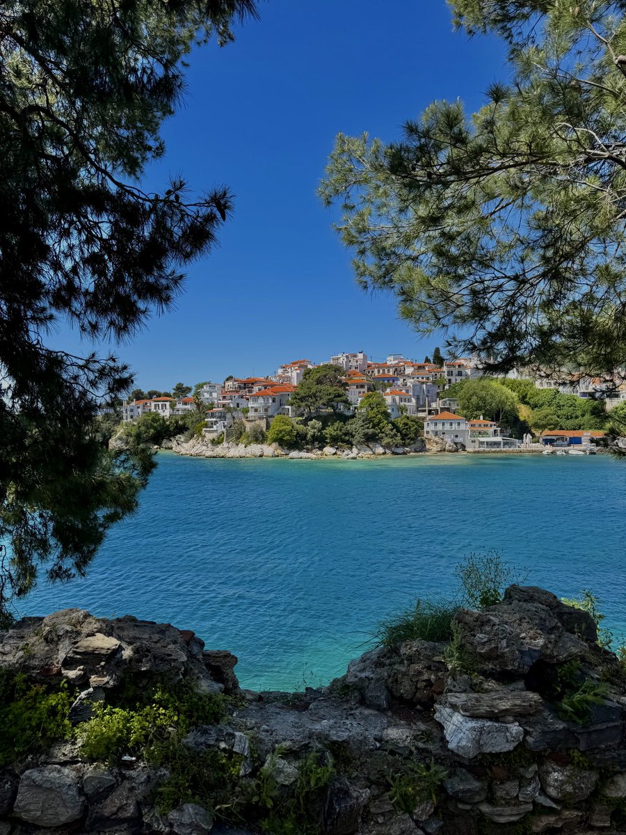 Nico 𝕏 tweet media