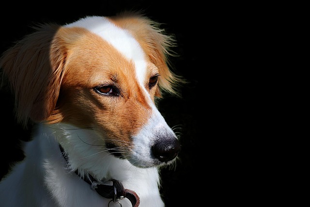 Marcus Meaux tweet media