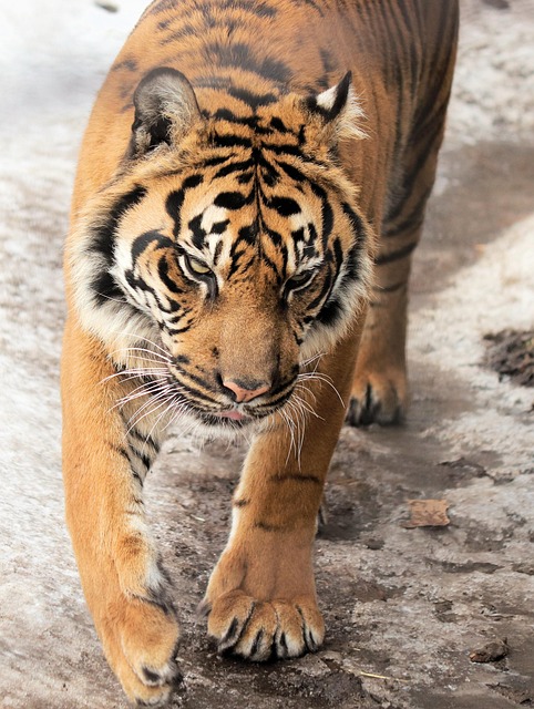 Timothy Edwards tweet media