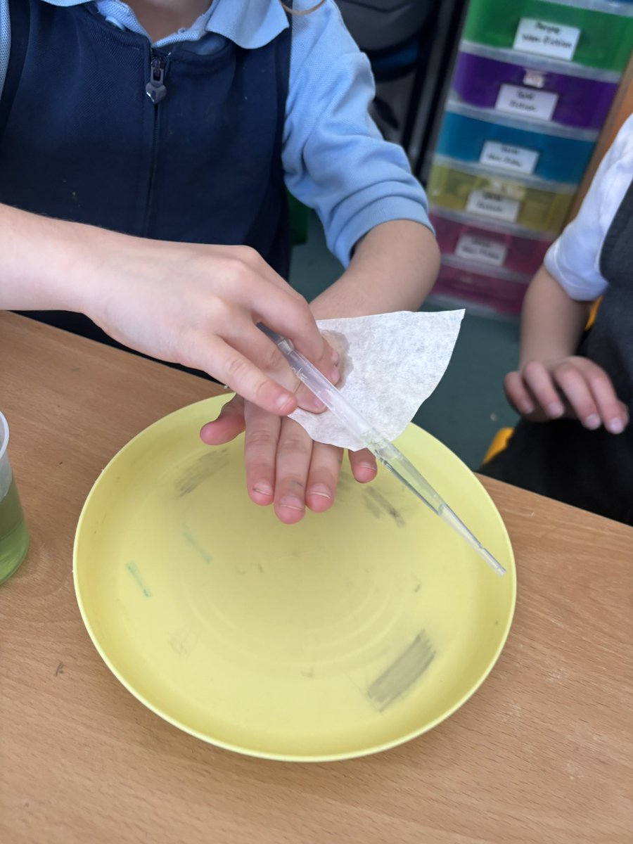 Whitchurch1's tweet image. Year 1 and 2 enjoyed deciding which material would make the best hankie as part of their science week activities. #wpsscience @ScienceWeekUK