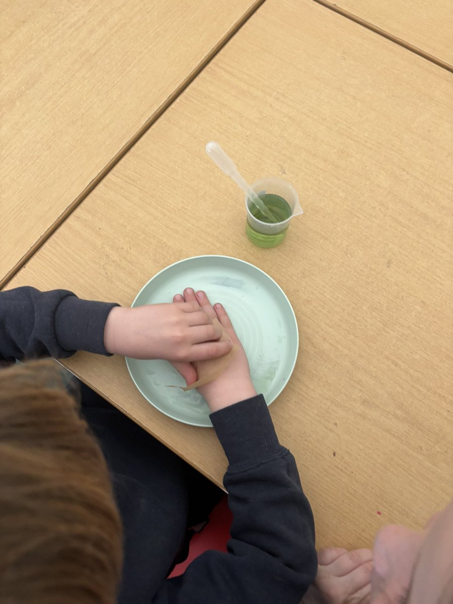 Whitchurch1's tweet image. Year 1 and 2 enjoyed deciding which material would make the best hankie as part of their science week activities. #wpsscience @ScienceWeekUK