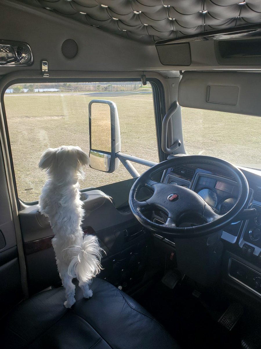 Middle Lane Marco tweet media