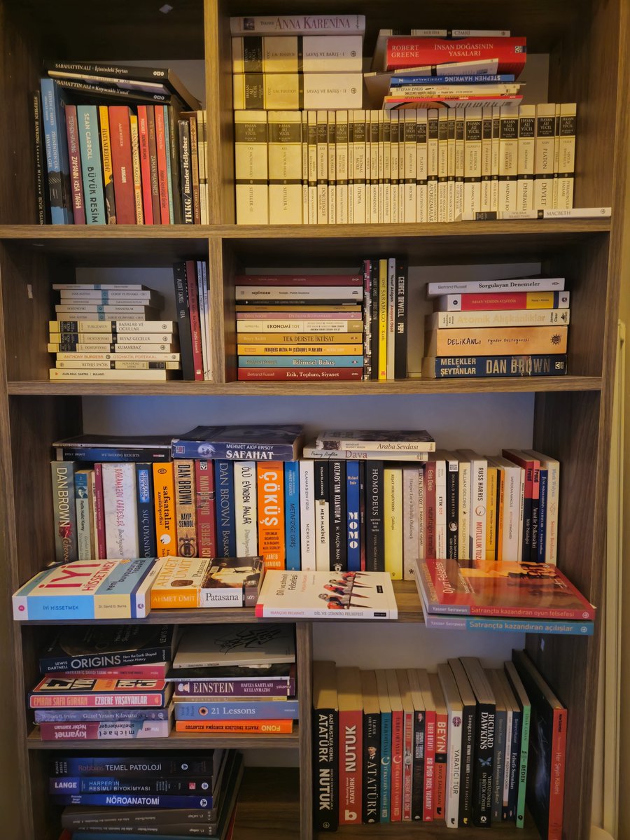 Seyitali tweet media