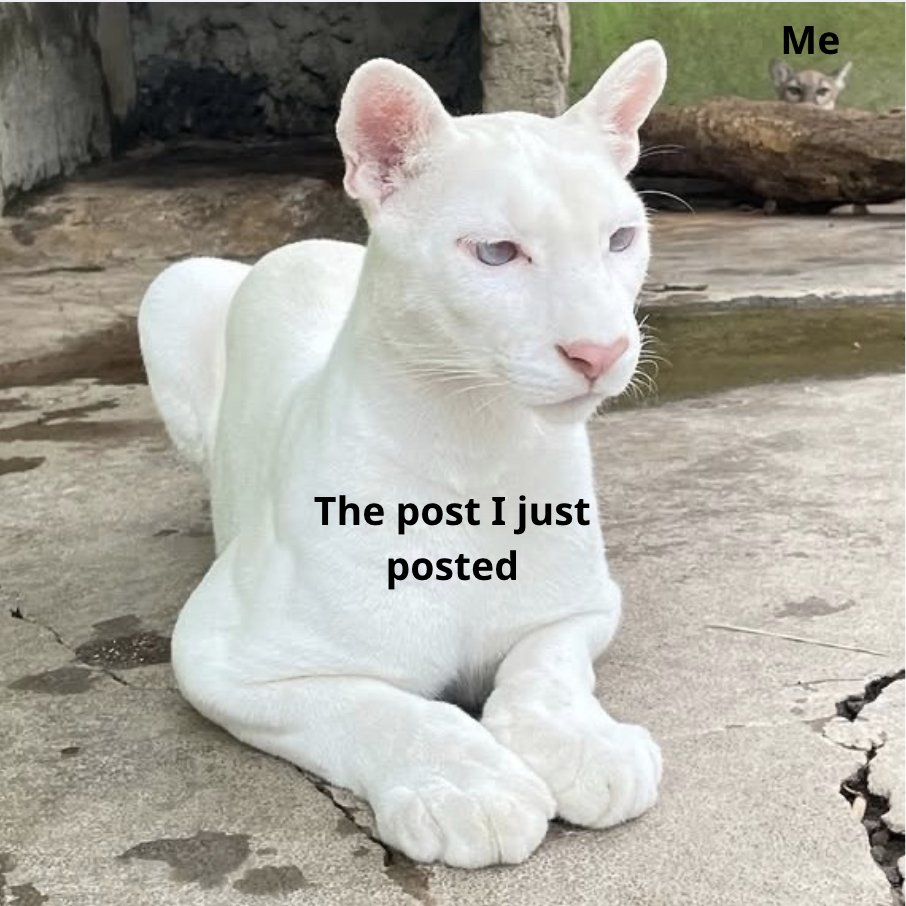 Binance Intern tweet media