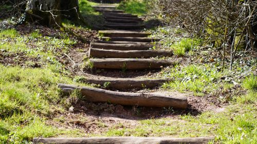 EMCC UK | Professional membership body tweet media