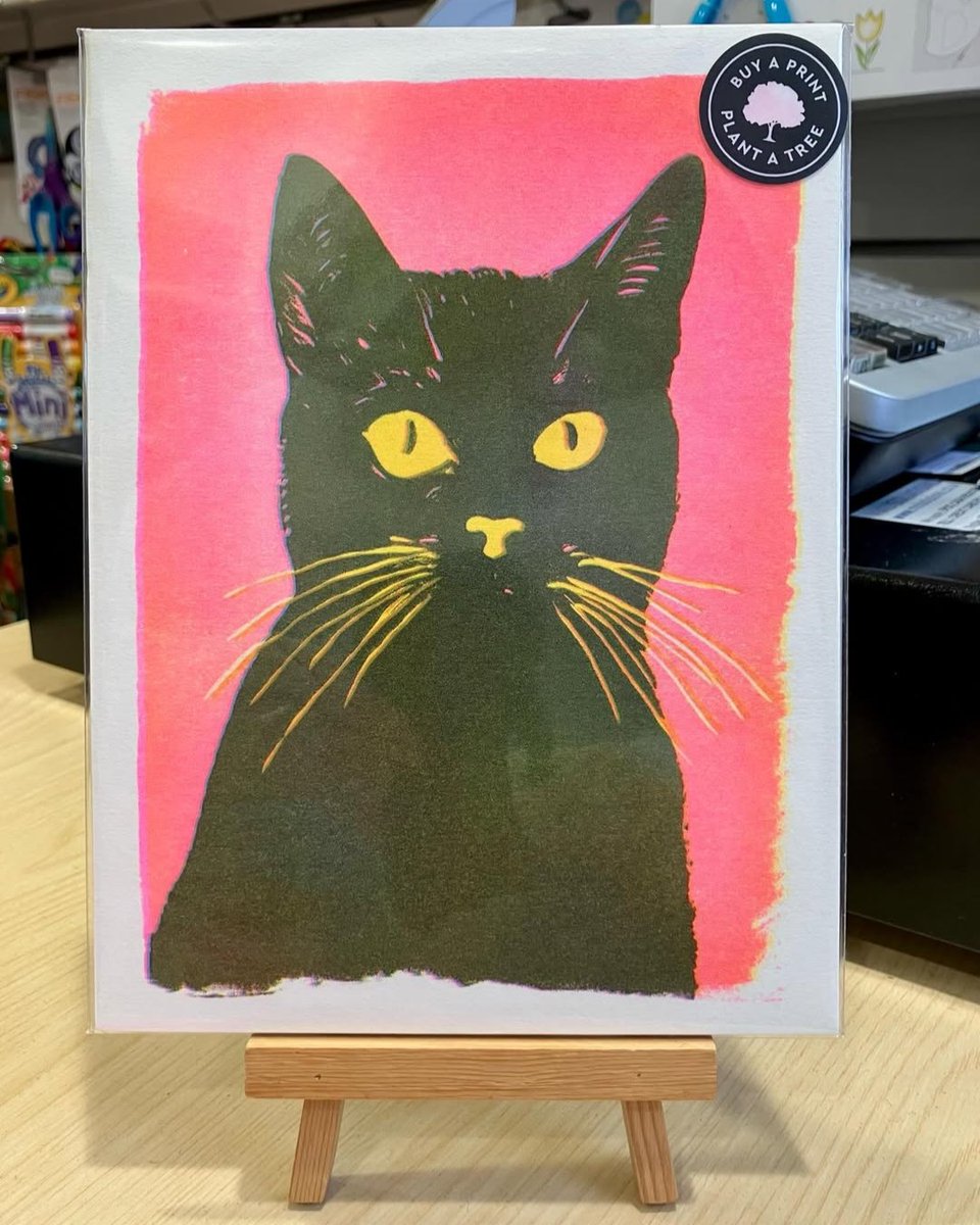 Port Solent tweet media