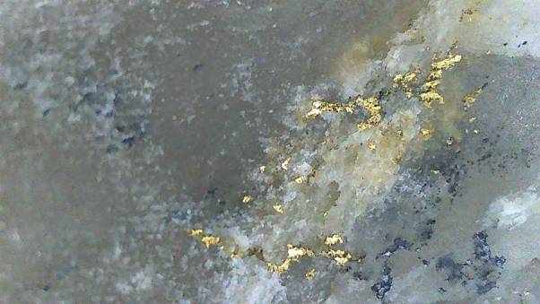 Share_Talk ™ tweet media