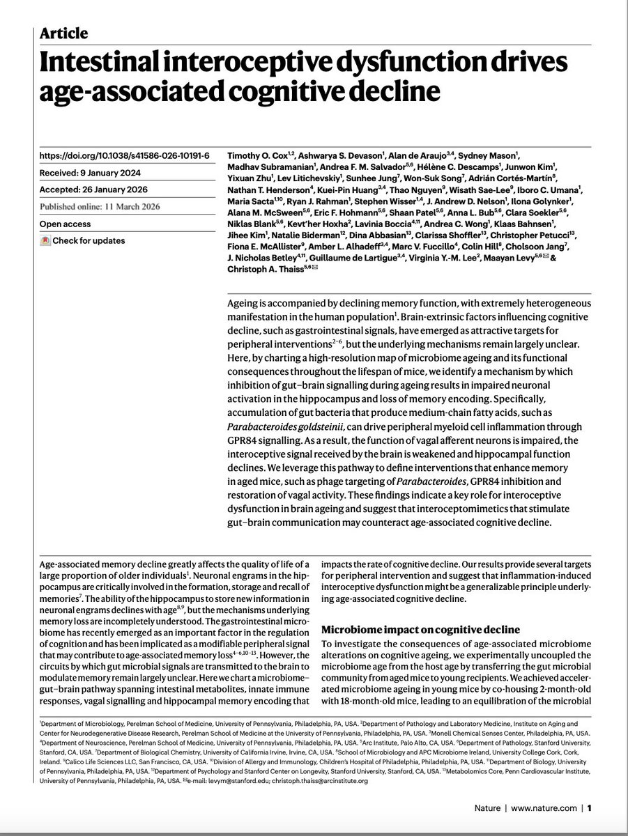 Un microbioma intestinal envejecido empeoraría la memoria. Un estudio en ratones explora el eje intestino-cerebro y apunta nuevas vías para combatir enfermedades neurodegenerativas. 
elpais.com/ciencia/2026-0…