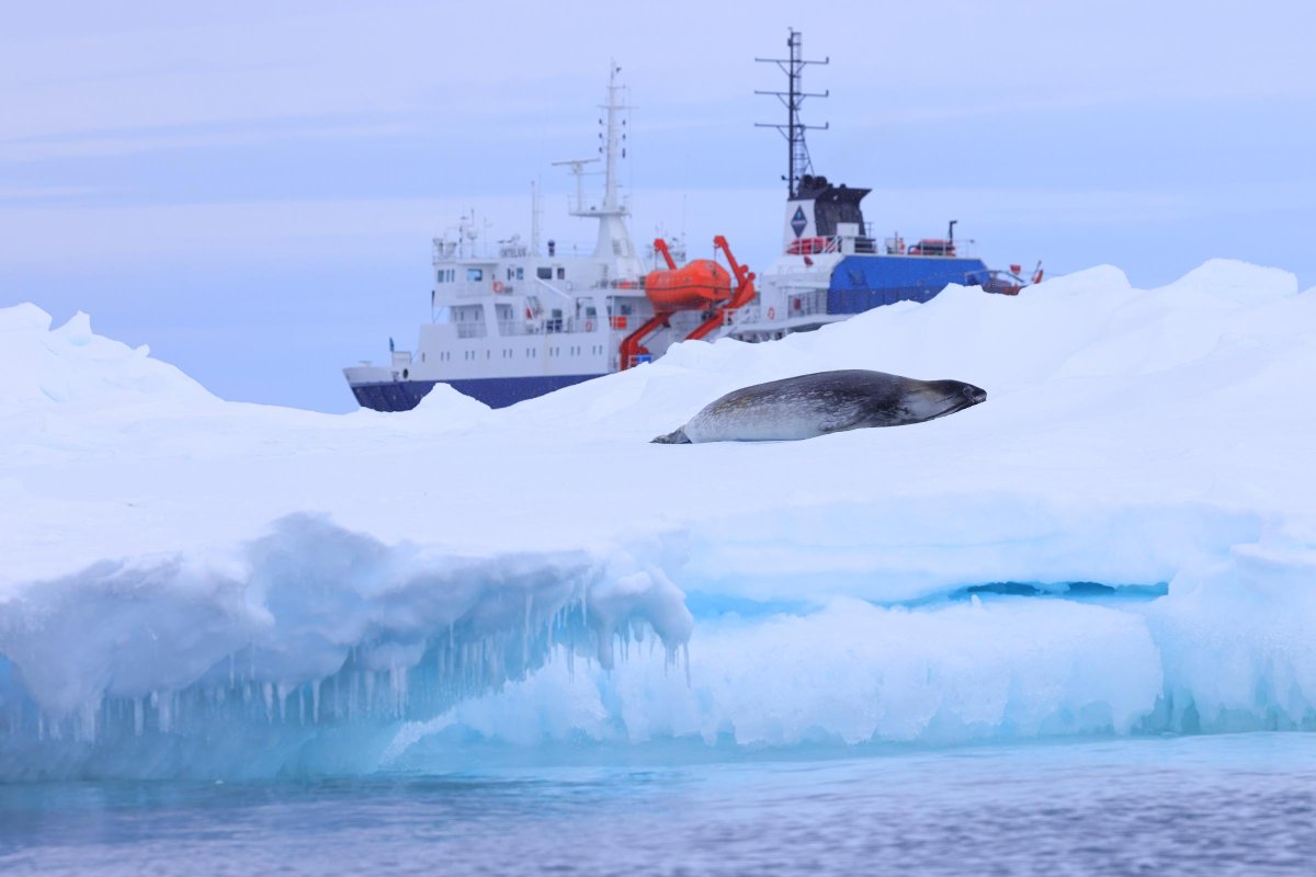 OceanwideExpeditions tweet media